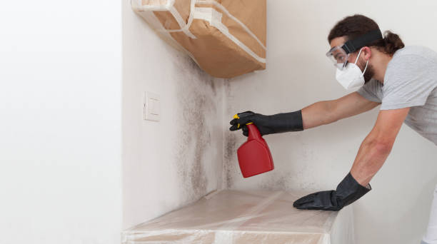 Professional Bathroom Mold Removal technician working in Hopewell, NJ