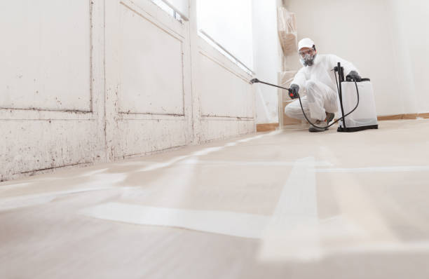 24/7 Emergency Bathroom Mold Removal experts in Hopewell, NJ