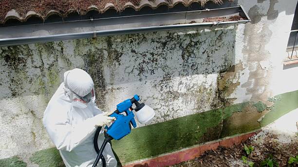 Top rated local Bathroom Mold Removal specialists in Hopewell, NJ